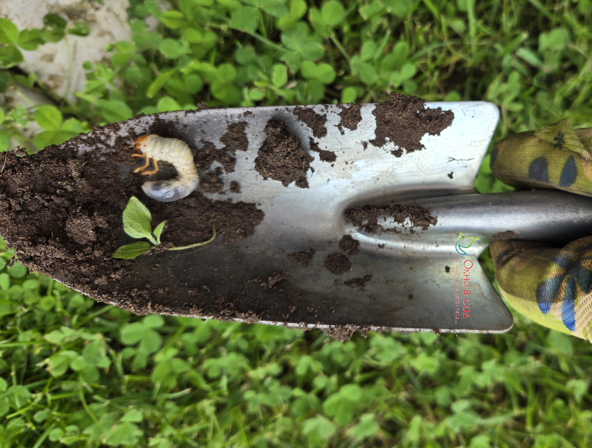 Фото из личного архива автора