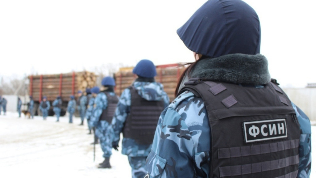 фото с просторов интернета