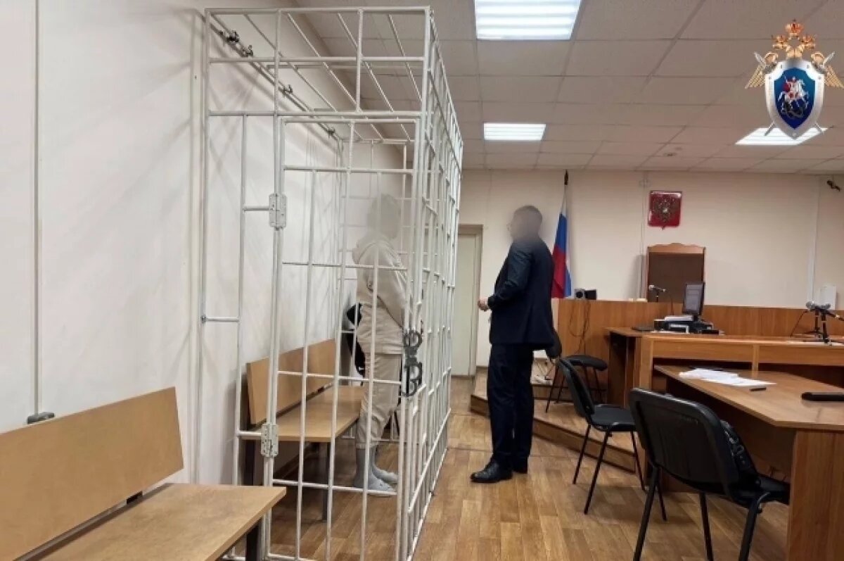    Красноярскую зоозащитницу отправили в СИЗО из-за гибели мальчика от собак