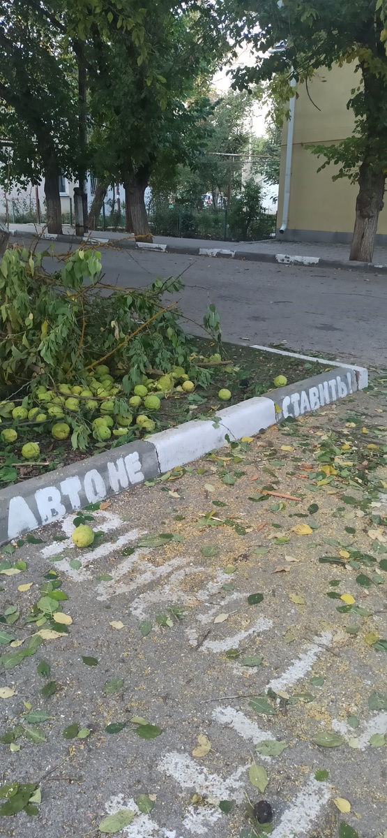 Просят не ставить машину на проезде, но так совпало.