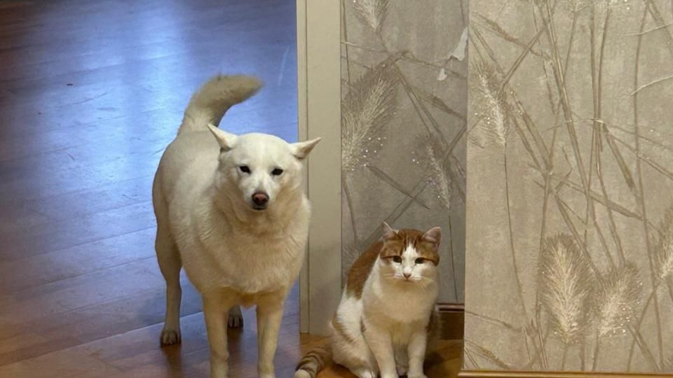 Атомы нейросетей или что там "под капотом" ИИ?