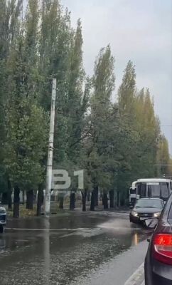    Фото: скриншот из видео