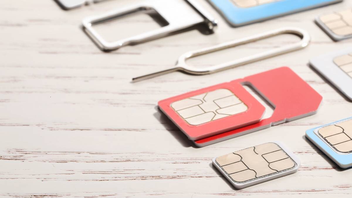    Фото: Shutterstock