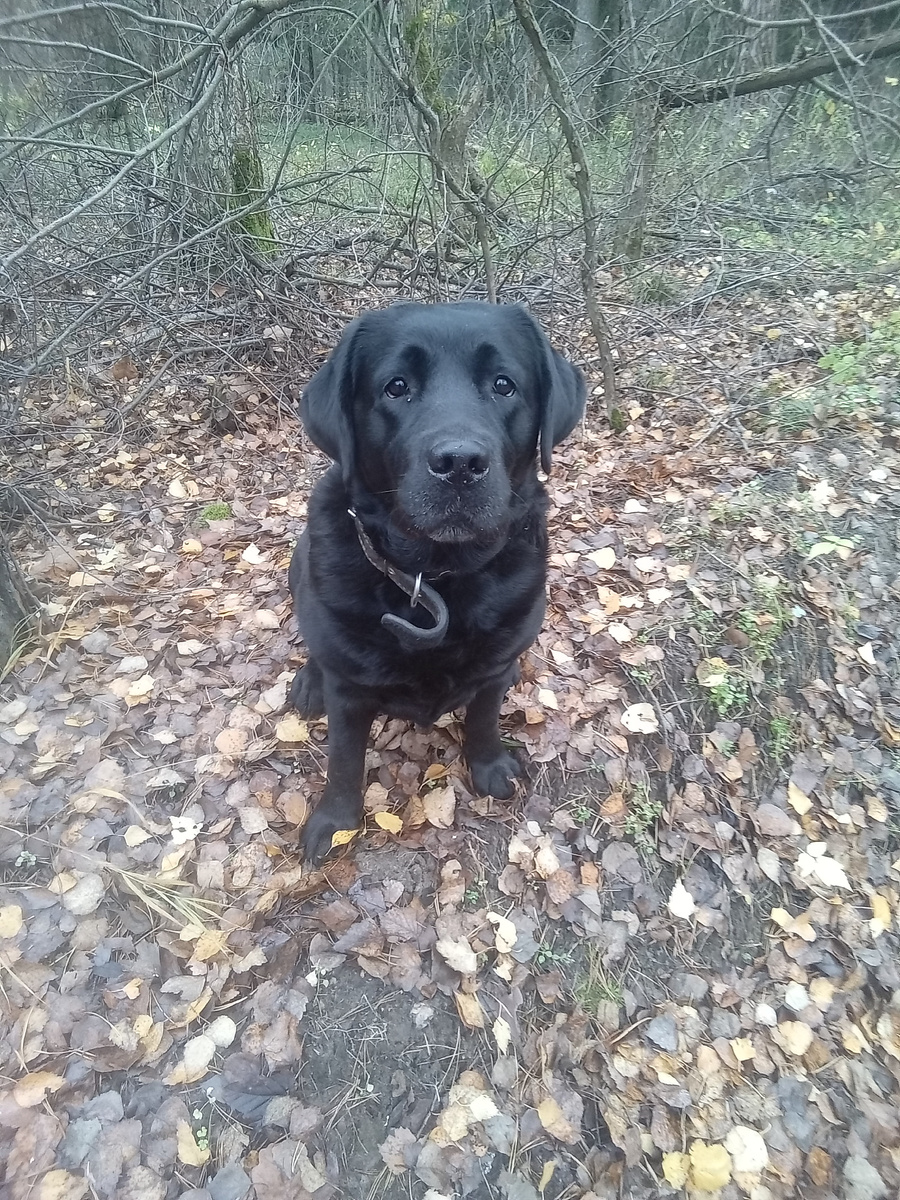 Фото автора. 