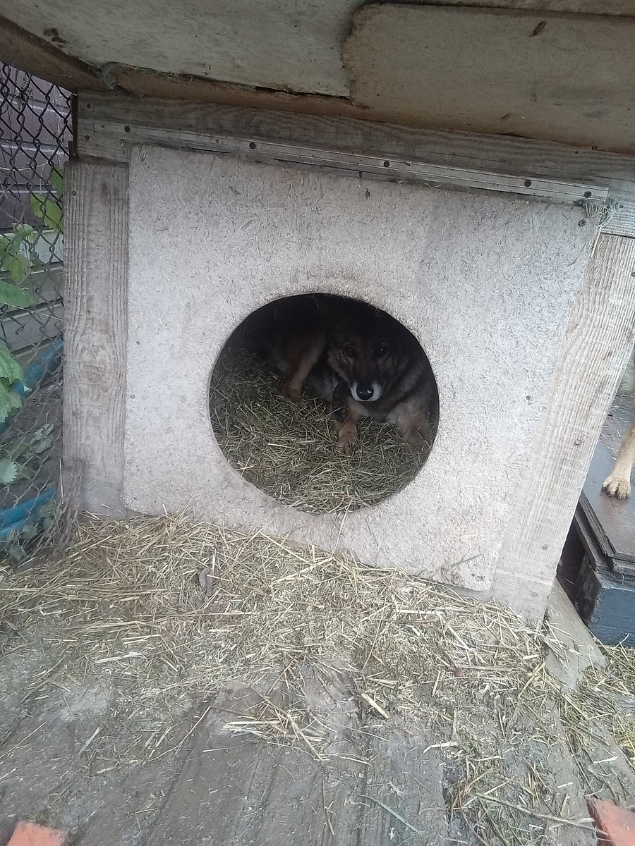 Фото автора. 