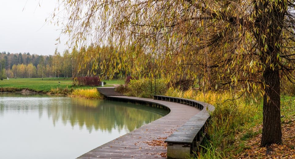    Медиасток.рф