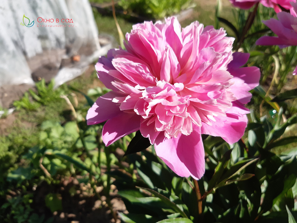 Фото из личного архива автора