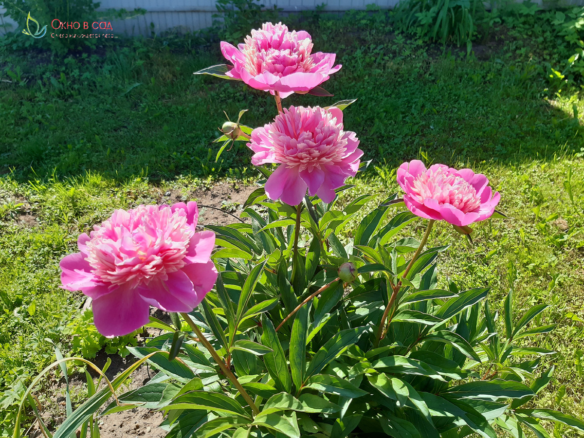 Фото из личного архива автора