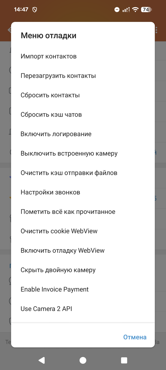 Вот такие опции доступны в отладочном меню
