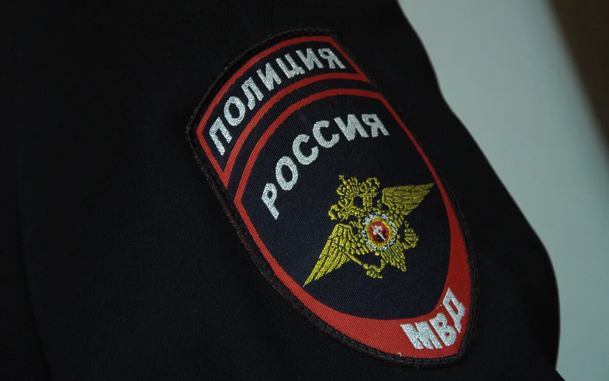    Полиция проводит проверку сообщений об убийстве собаки в Удмуртии