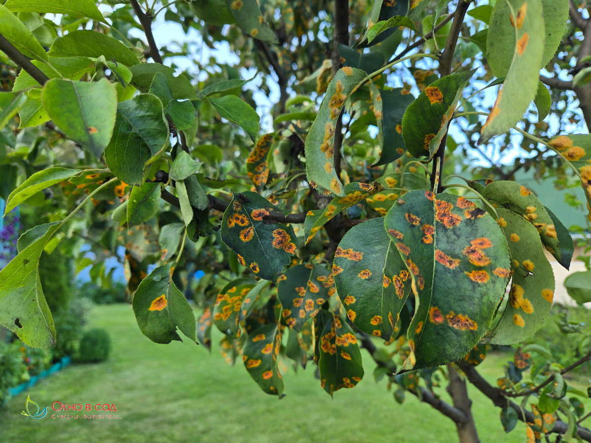 Фото из личного архива автора