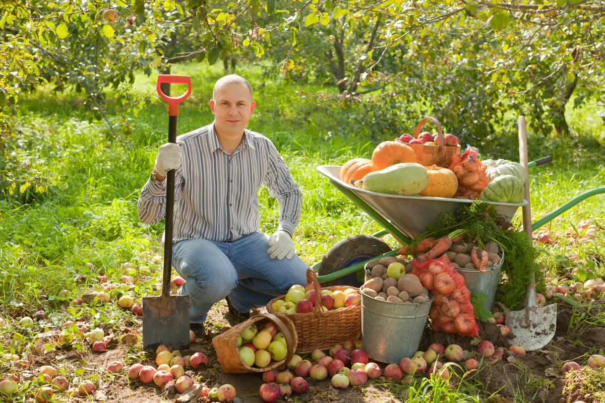 Садоводство, Урожай без химии, ЭкоСад, Органическое земледелие, Советы садоводам, Биопрепараты. Лайфхак, полезные советы