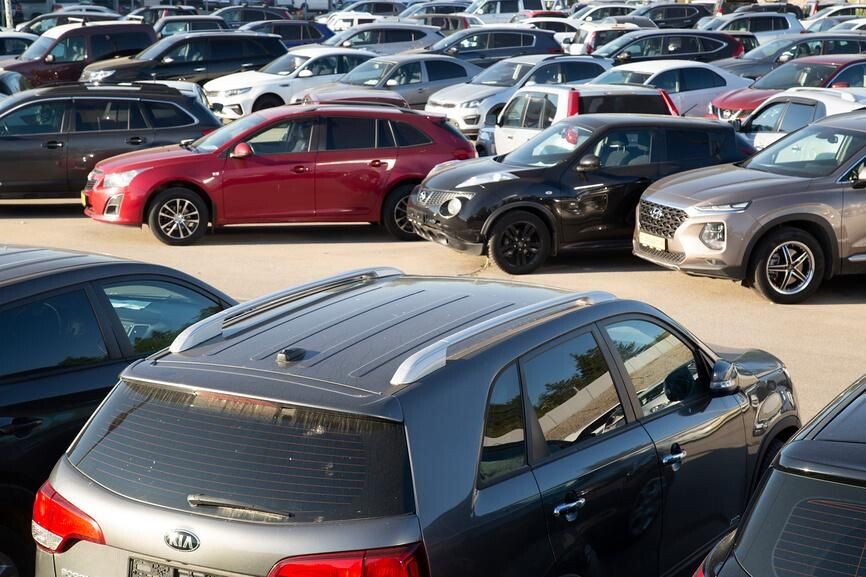  Александр Поташев / Фотобанк Лори