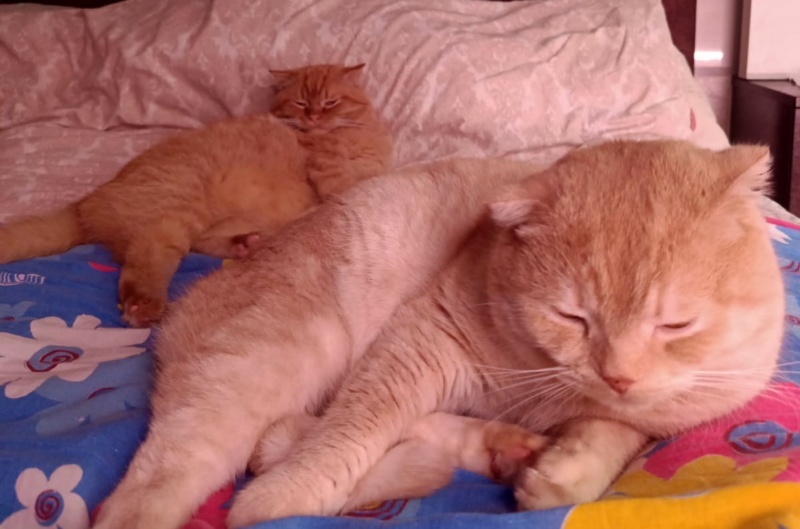    Фото Светланы Журавка admin