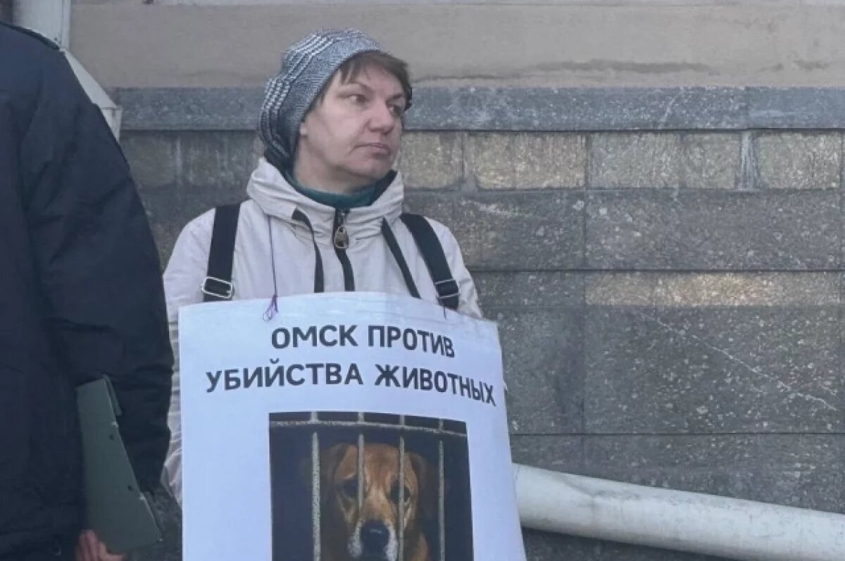    Омичка с плакатом вышла на пикет против закона о безнадзорных животных