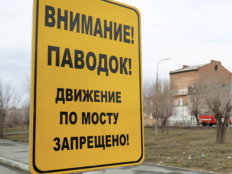    Фото: ТАСС/Егор Алеев