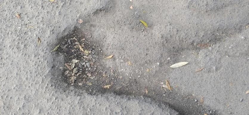 Фото: Группа «А.Л. Текслер, помоги!» ВКонтакте