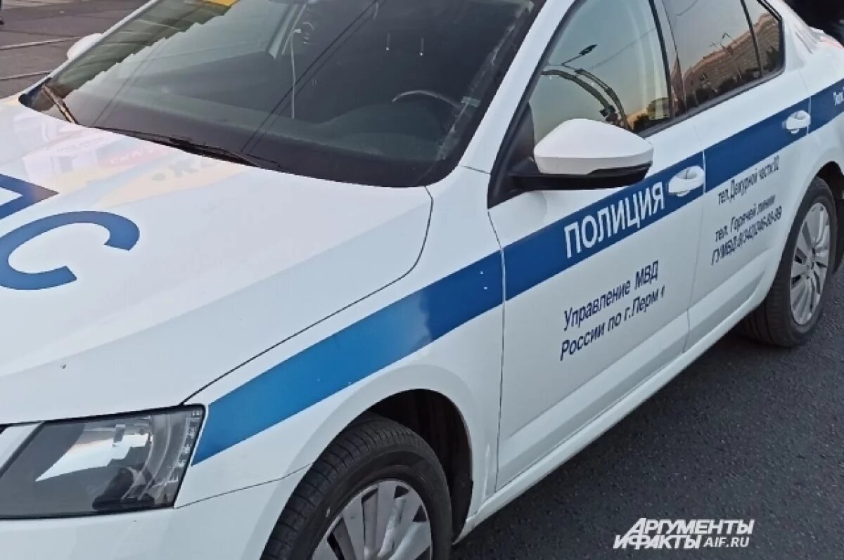    Участник смертельной аварии с пьяным полицейским под Пермью рассказал о ДТП