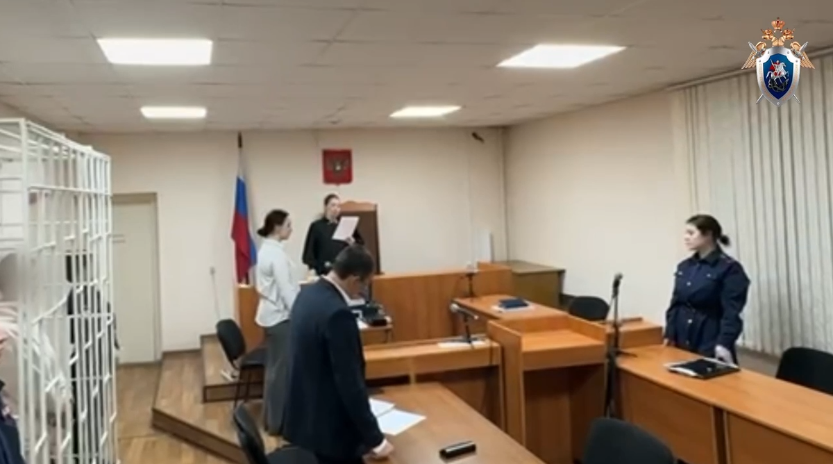     Под Красноярском главу организации по отлову собак арестовали до 25 декабря