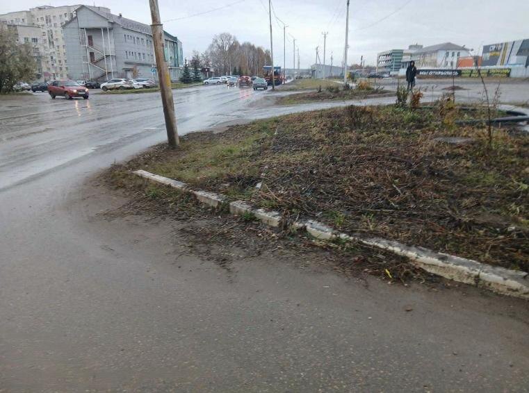    Фото: t.me/Golovanova_RB