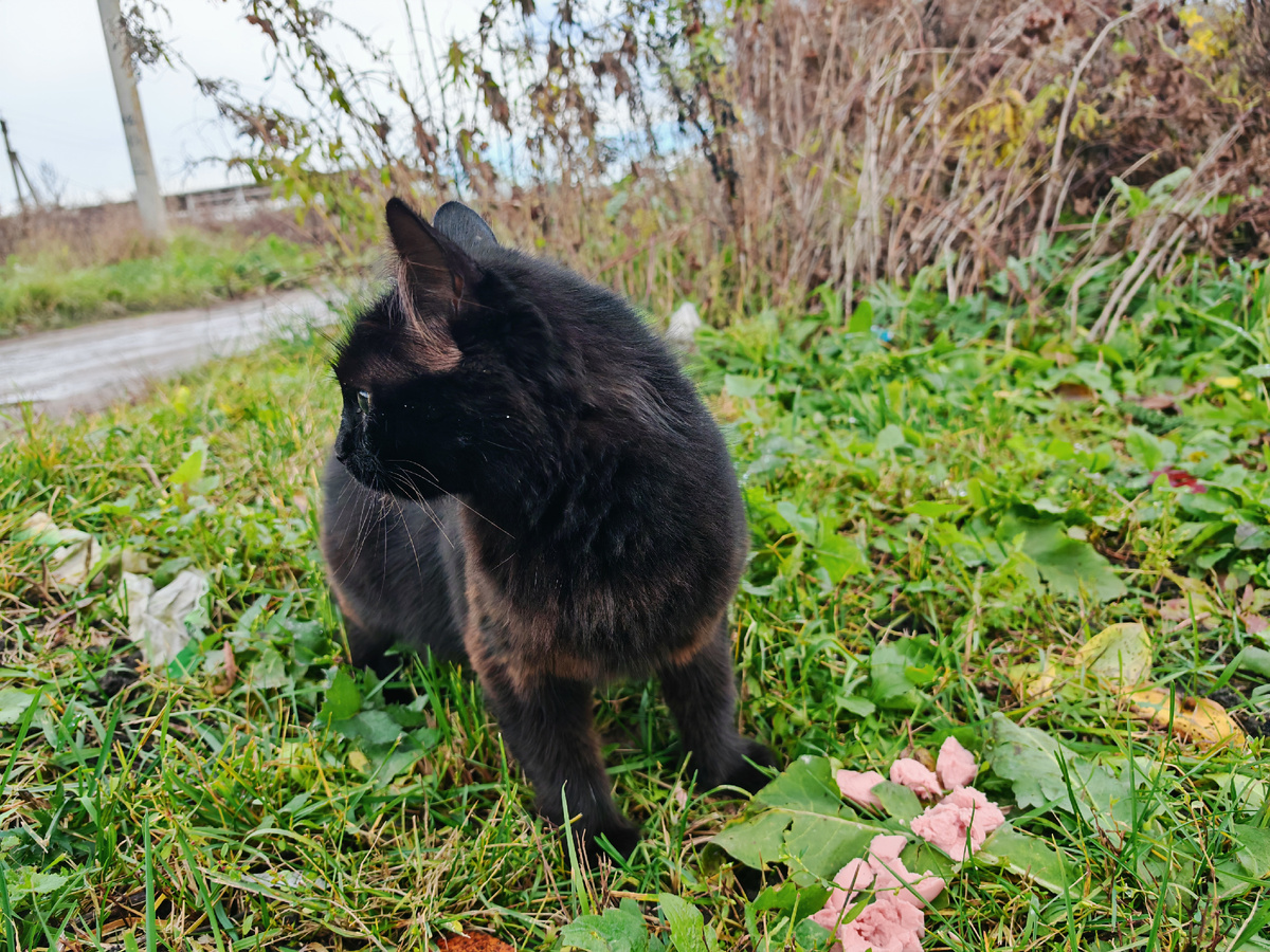 Фото автора канала.