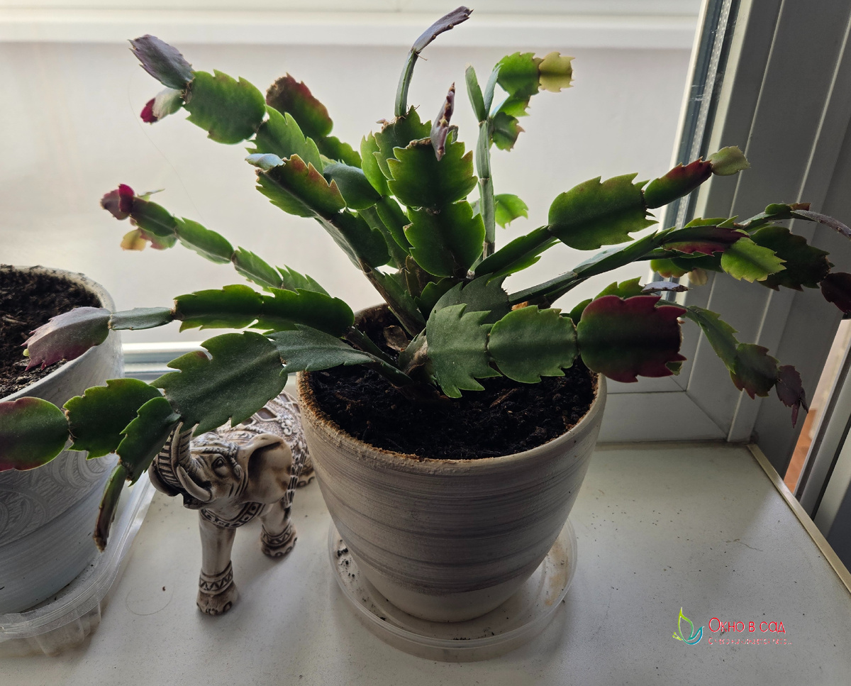 Фото из личного архива автора