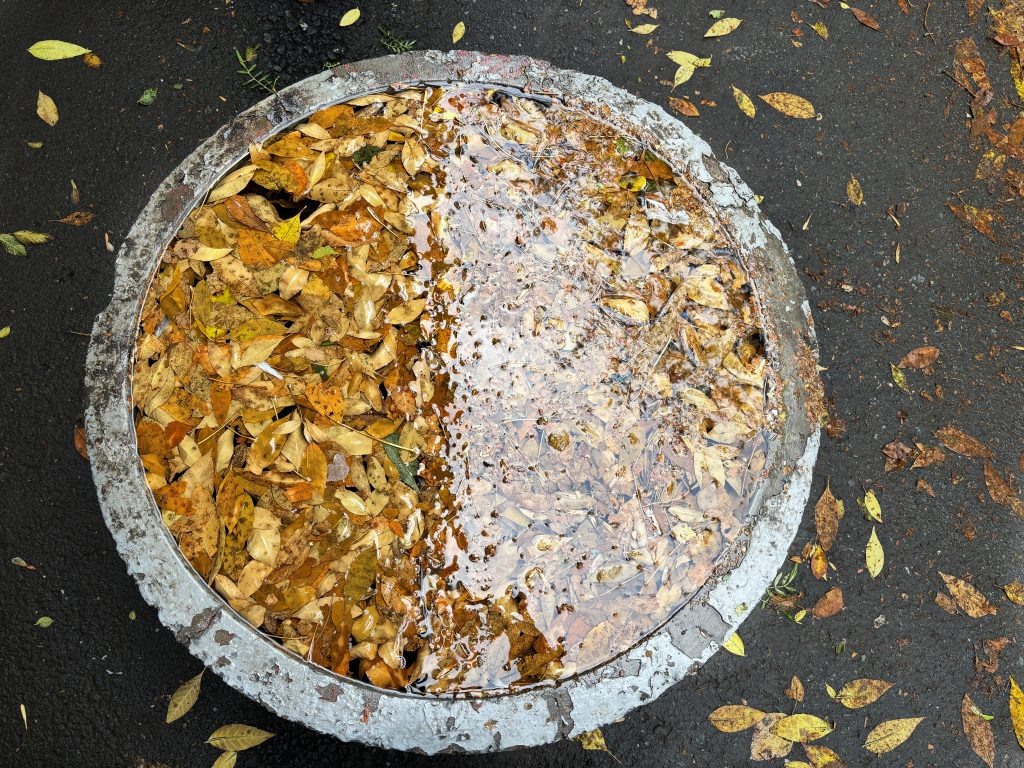 
📷
📷
📷
📷
📷
