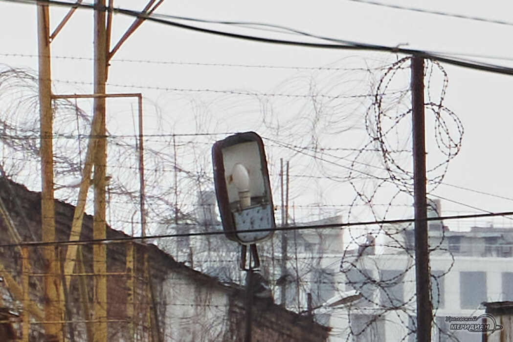    Фото Лидия Аникина © ИА «Уральский меридиан»