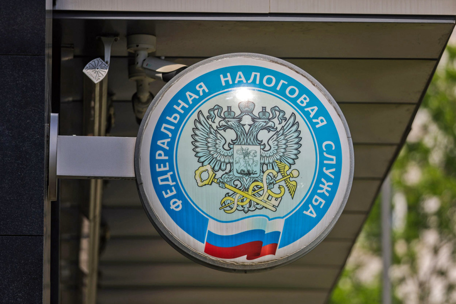    Наталья Шатохина/NEWS.ru