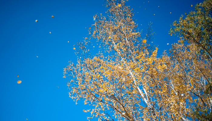29 октября в народе отмечается Лонгин Сотник. Верующие вспоминают св. Лонгина — одного из воинов, охранявших распятого Христа. Фото: 1MI