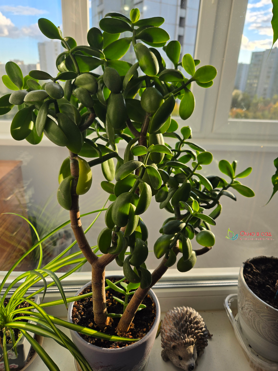 Фото из личного архива автора