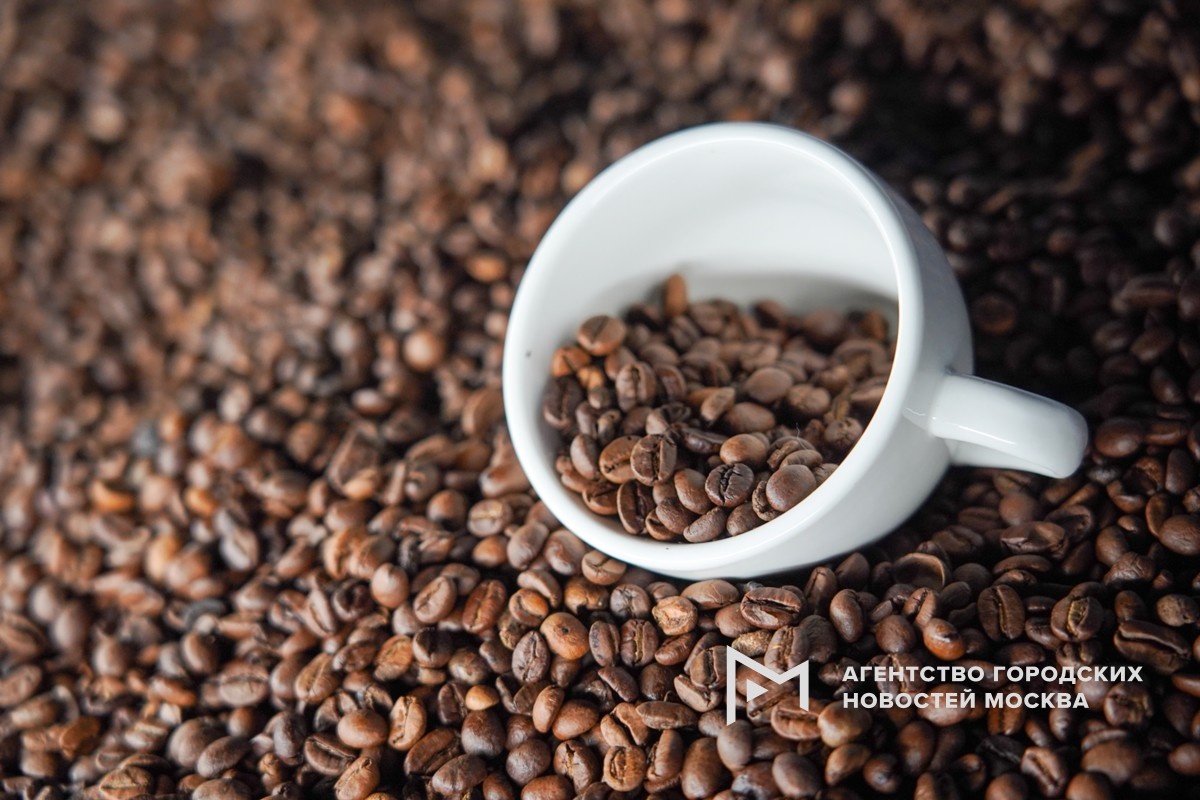 Фотограф: Александр Авилов