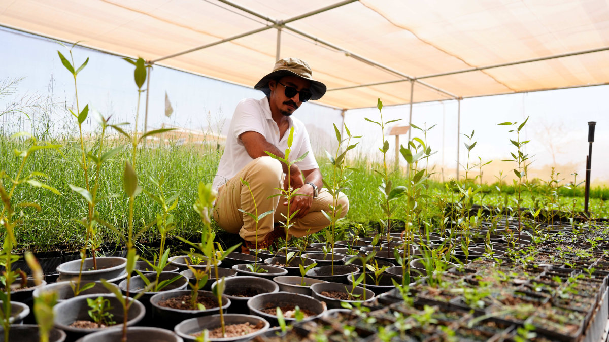 Тарик Аль-Джохан — специалист по полевой реставрации в NEOM
