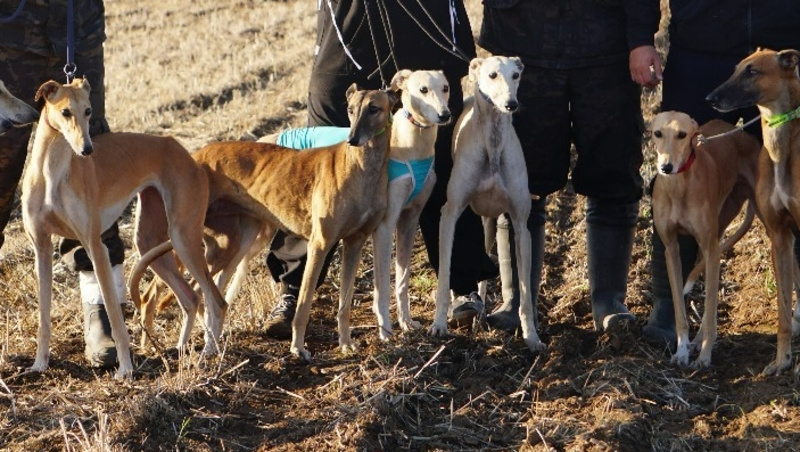      Фото: Минприроды Ставропольского края