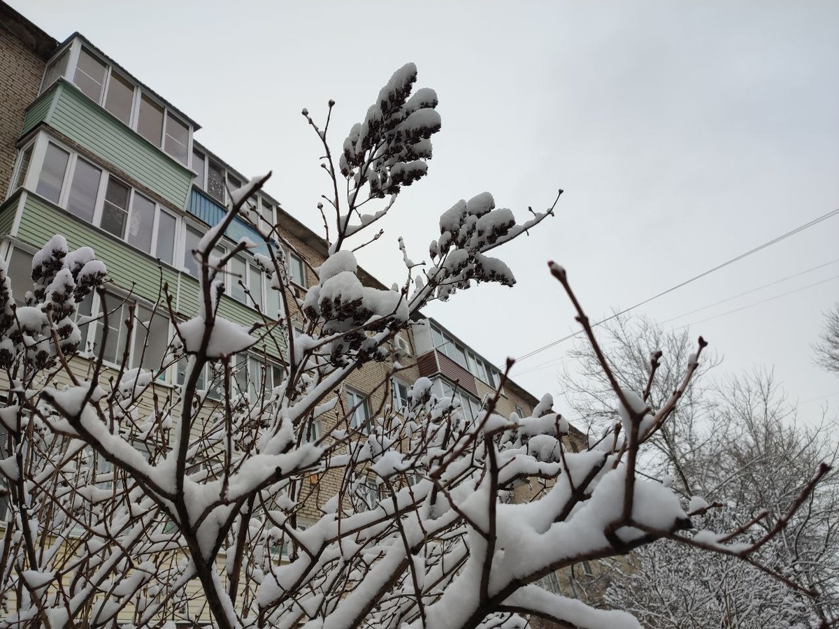    Фото: REGIONS/Елена Забелина