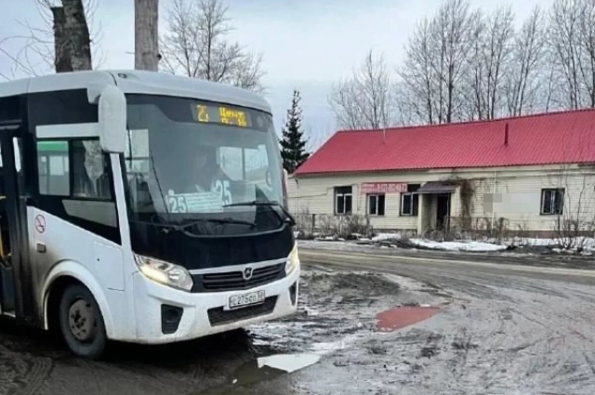    В Пензе планируют пустить еще одно транспортное средство по маршруту №25