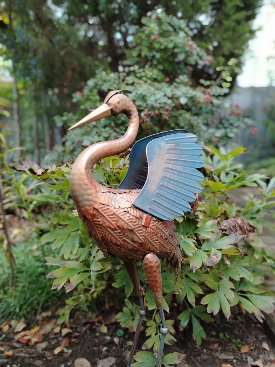 А это точно дама. Вишь, как крылья взъерепенила. Окрестим её Турна. 