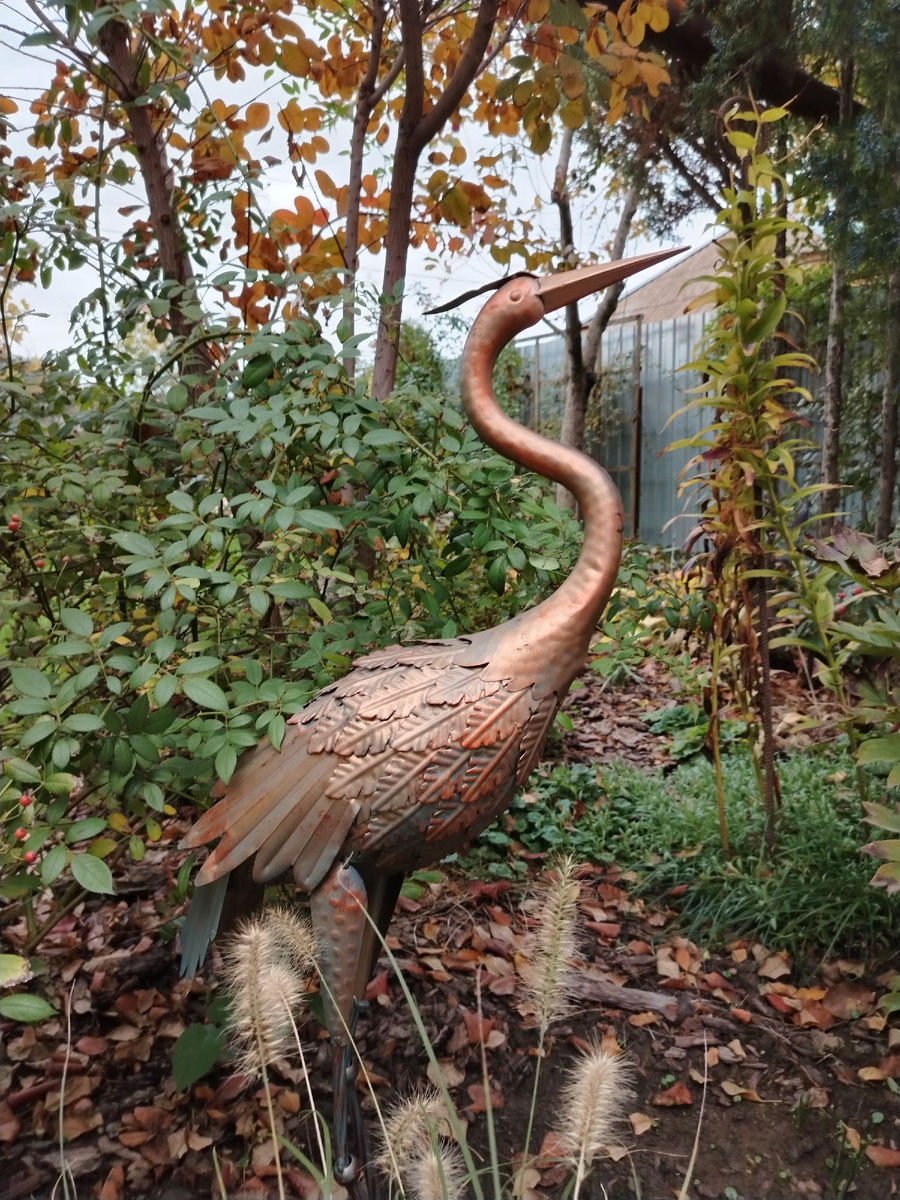 Думаю, что это - самец. Значит, будет Чапур. 