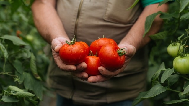 Неправильное планирование приводит к потерям урожая и лишним тратам