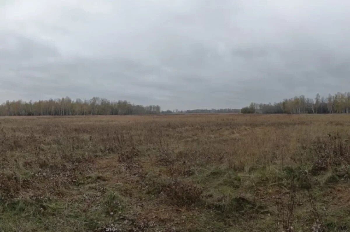    Охотники Новосибирска готовятся сдавать экзамен на охотничий билет