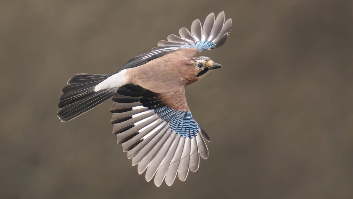     Фото: Wirestock Creators/Shutterstock/FOTODOM