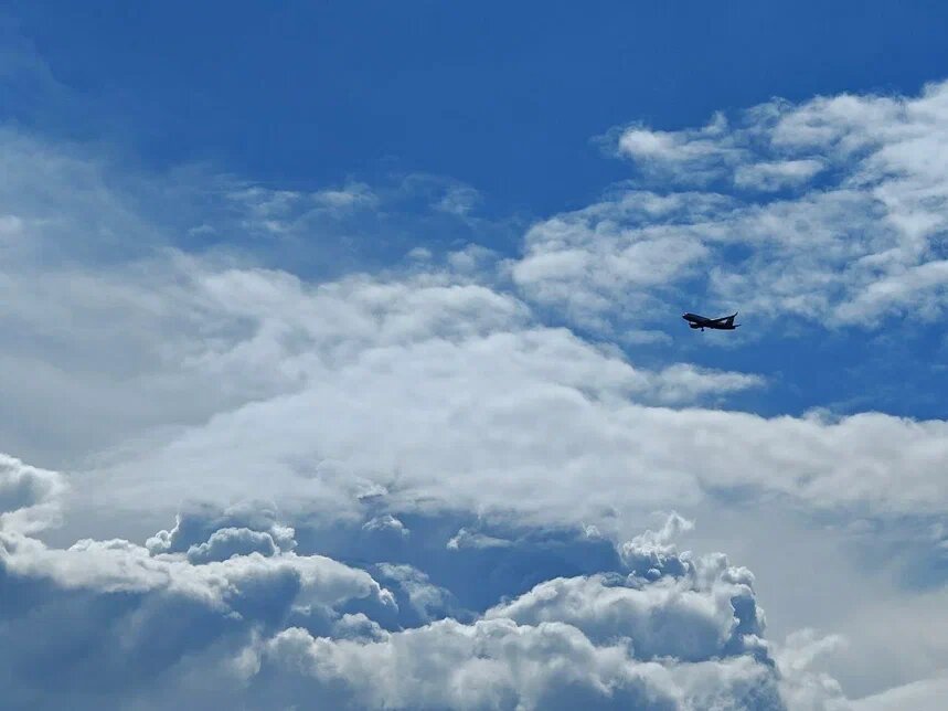    Фото: Юрий Серебренников/BFM Кубань