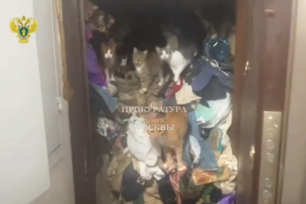    Фото © Telegram / Прокуратура Москвы