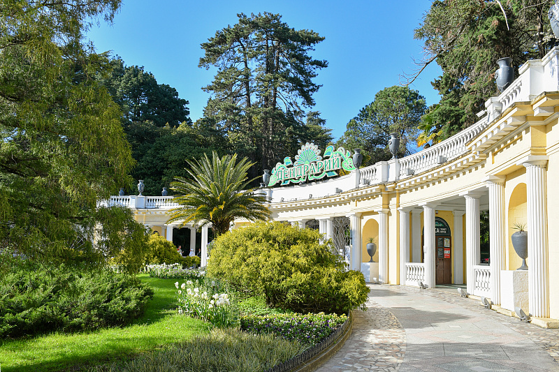    Фото: пресс-служба администрации города Сочи