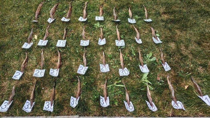    прокуратура