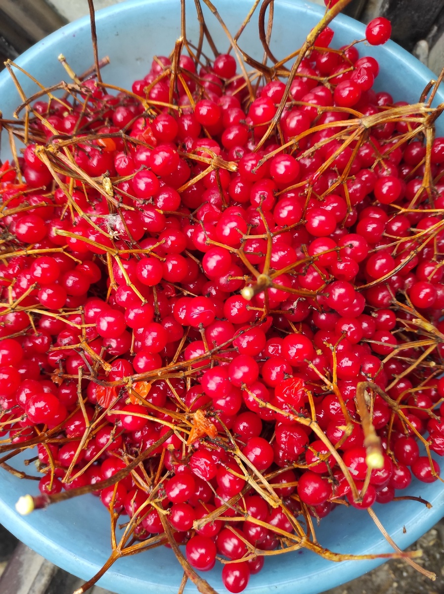 Похожа на раскалённое железо?