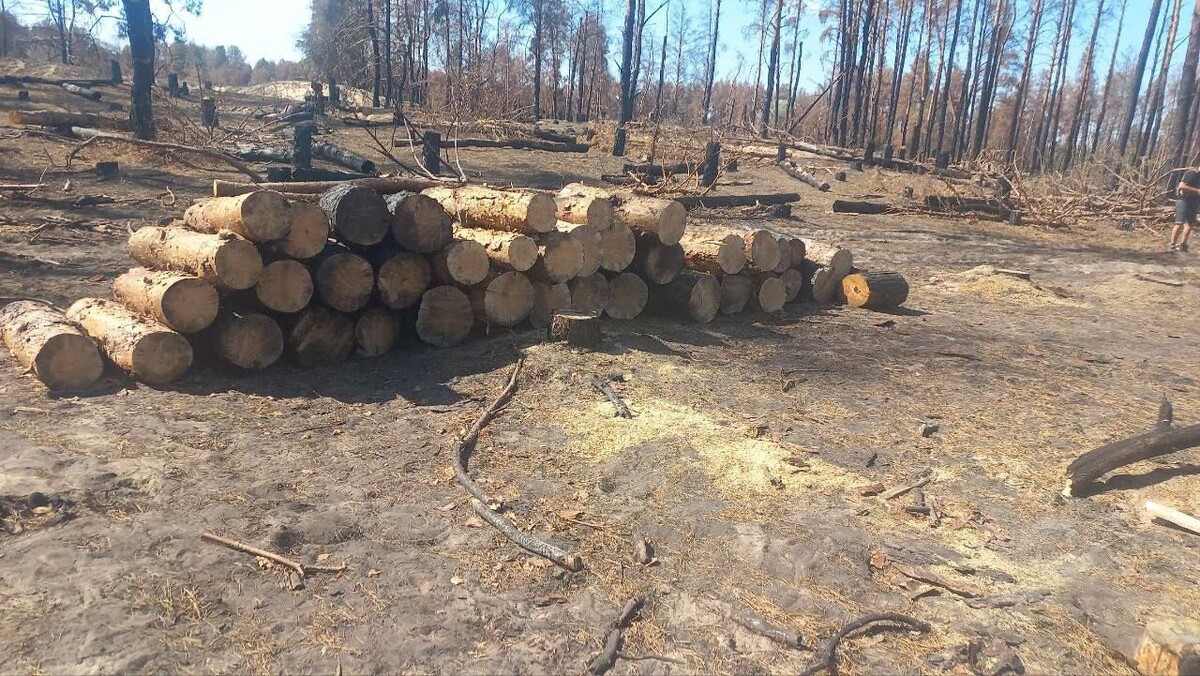    Фото: пресс-служба минприроды Херсонской области