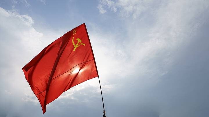  Фото: Shutterstock