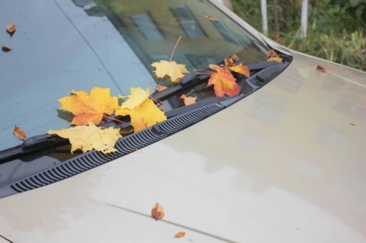    В Туле 29 октября ожидается небольшой дождь и до +8