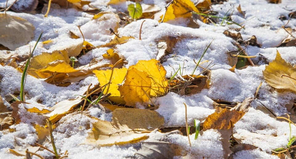    Медиасток.рф